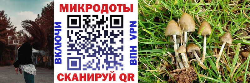 даркнет сайт  Сафоново  Псилоцибиновые грибы ЛСД 
